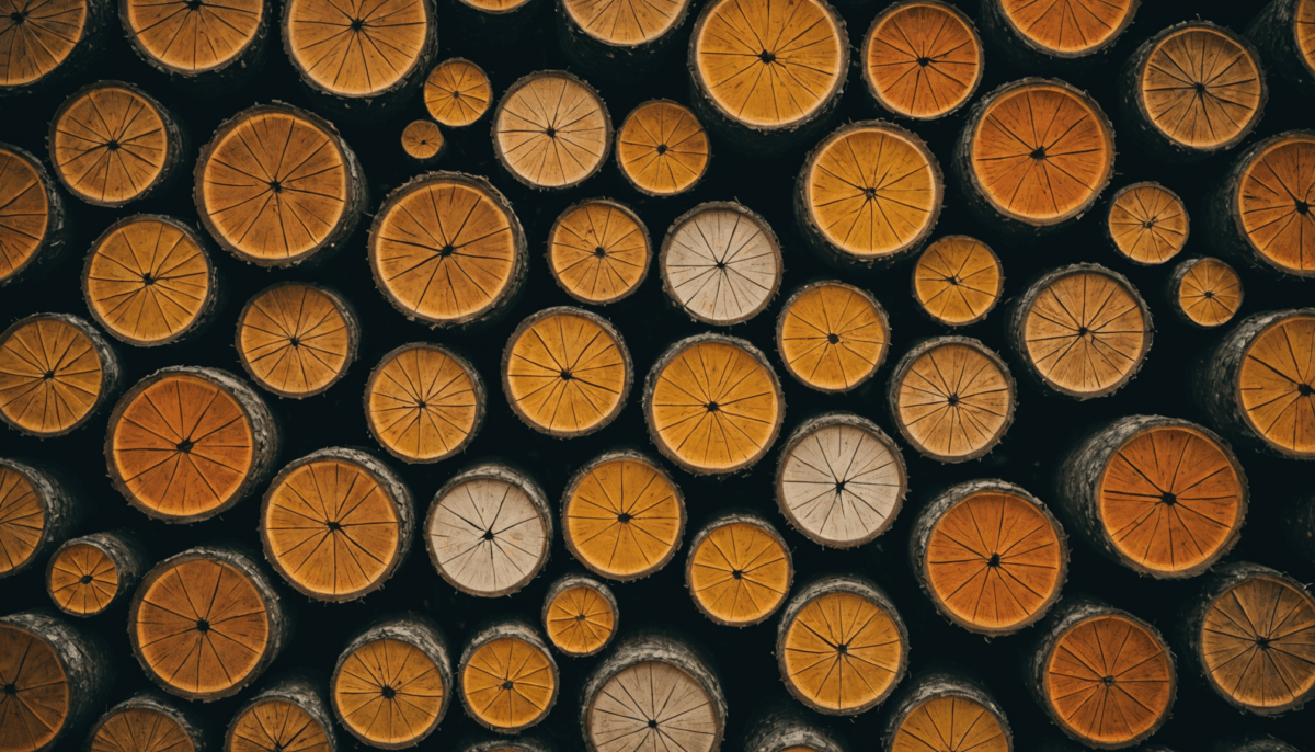 pag-image-68b0f234ab358